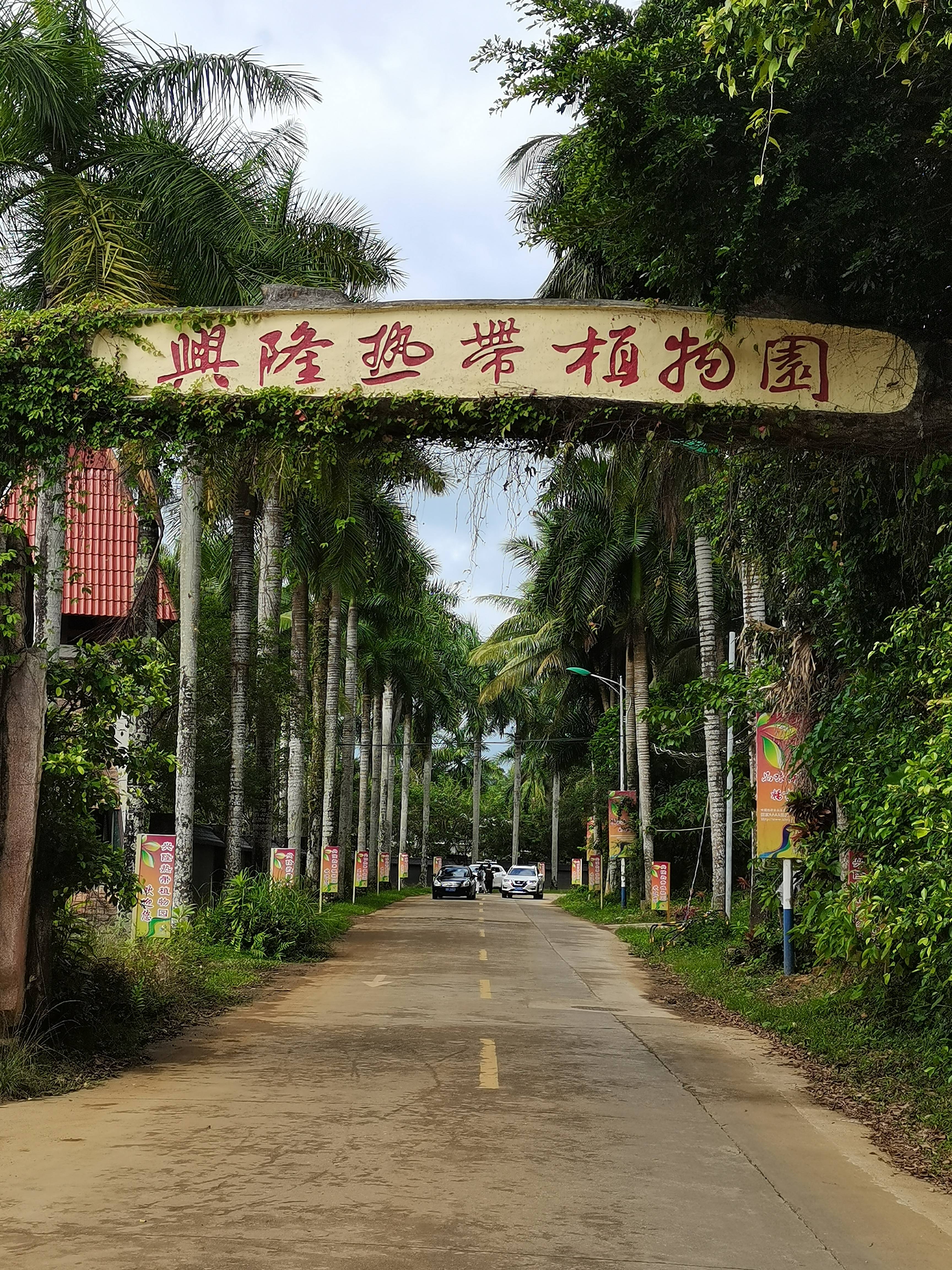 兴隆热带植物园 参考图 1